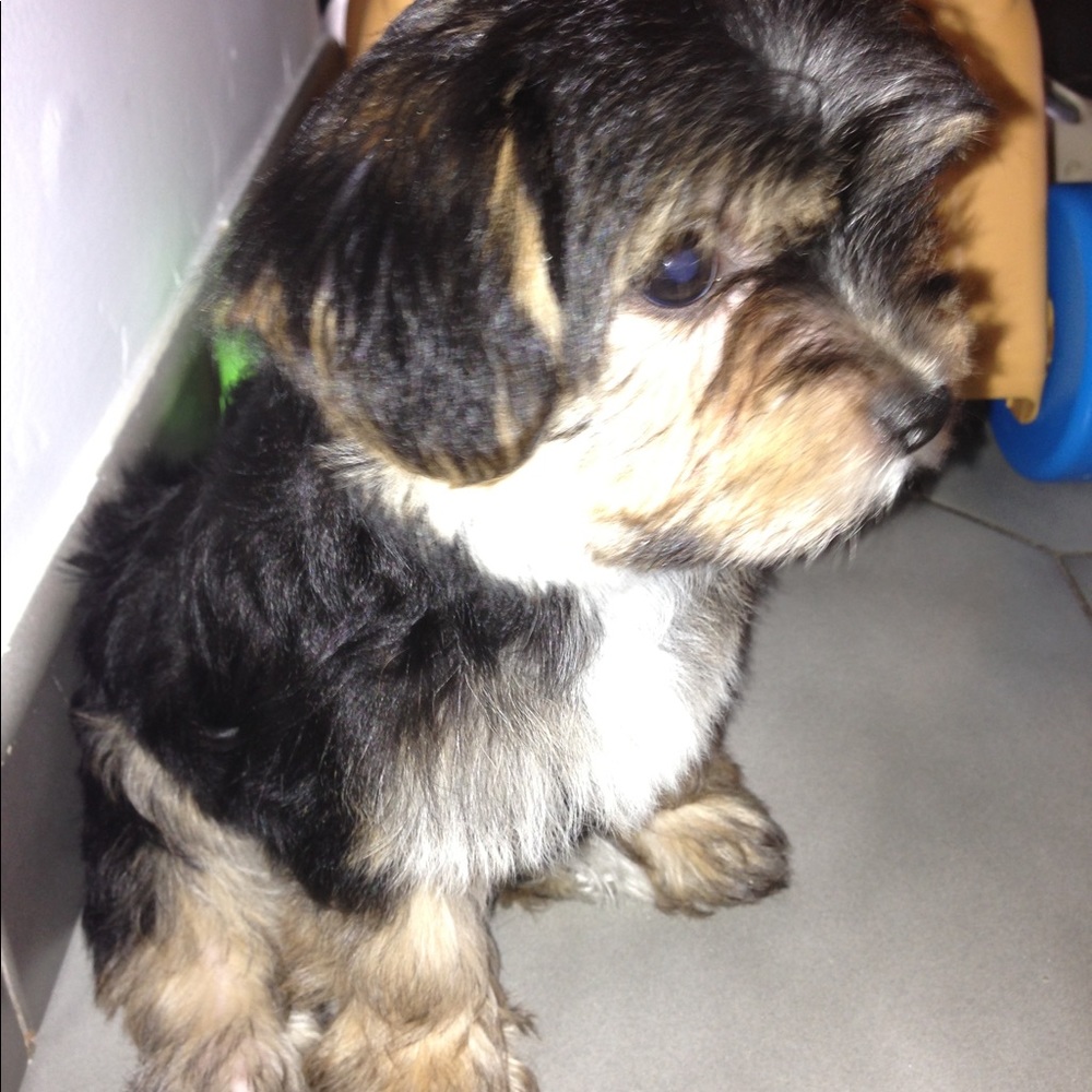 Meet your Posher, Jo ann